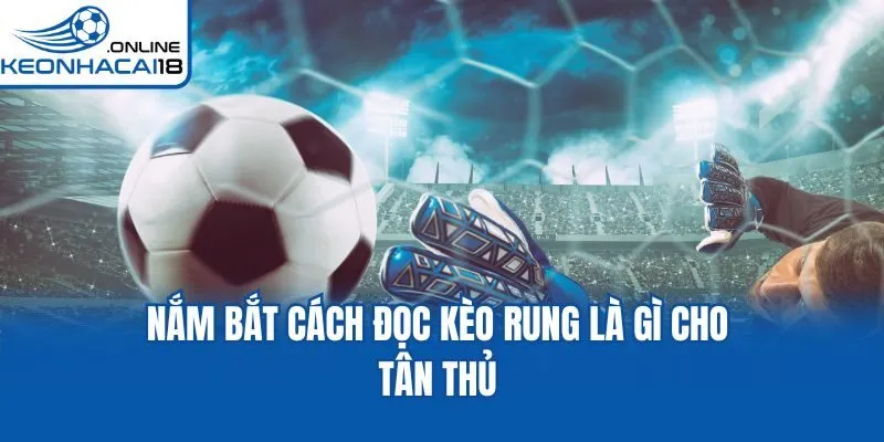 Nắm bắt cách đọc kèo rung là gì cho tân thủ