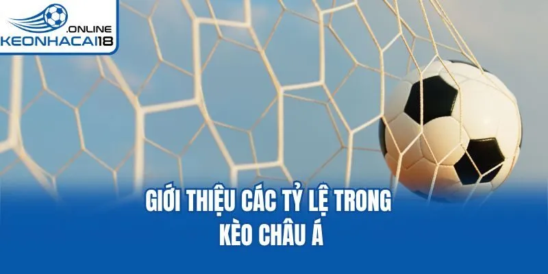 Giới thiệu các tỷ lệ trong kèo châu Á